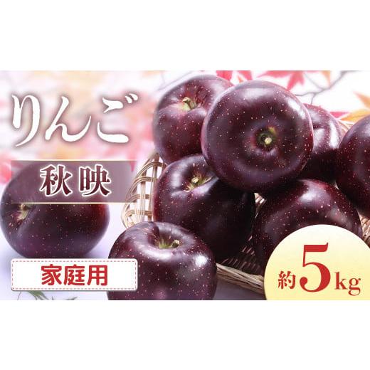 ふるさと納税 りんご 長野県 豊丘村 2026年発送先行予約 りんご 秋映 約5kg(10〜20玉入り) 家庭用 2026年9月下旬〜10月上旬発送予定