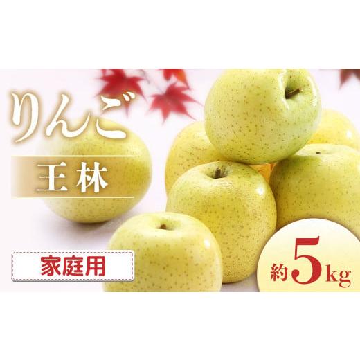 ふるさと納税 りんご 長野県 豊丘村 2026年発送先行予約 王林 約5kg