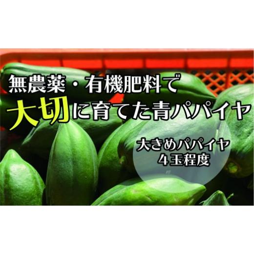 ふるさと納税 野菜類 広島県 尾道市 先行予約 無農薬・有機肥料で大切に育てた 青パパイヤ 大きめパパイヤ4玉程度 (栽培期間中農薬不使用)2026年9月発送