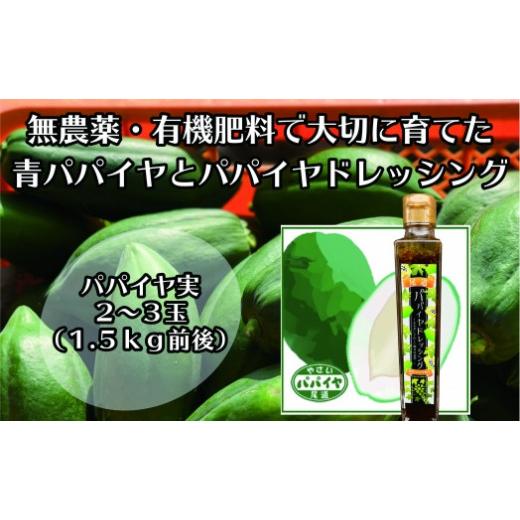 ふるさと納税 野菜類 広島県 尾道市 先行予約 無農薬・有機肥料で大切に育てた パパイヤ 2-3玉1.5キロ前後(栽培期間中農薬不使用)と パパイヤドレッシング…