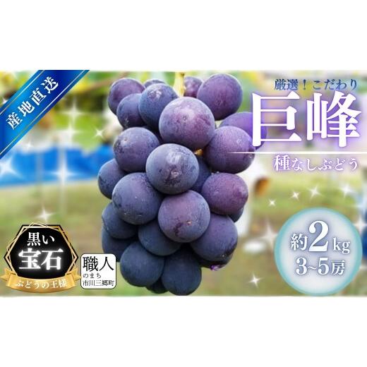 ふるさと納税 ぶどう 巨峰 山梨県 市川三郷町 クール便発送 2026年8月中旬から発送 朝採り タネなし 巨峰 2kg箱 小沢農園 | 人気 新鮮 産地直送 果物 くだも…