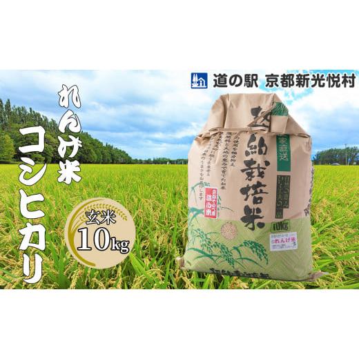 ふるさと納税 京都府 南丹市 017N60 れんげ米コシヒカリ「玄米」10kg[?島屋選定品]