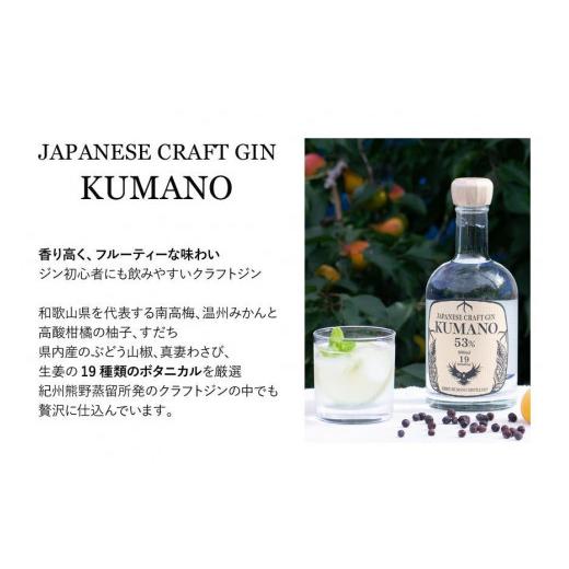 ふるさと納税 洋酒・リキュール類 和歌山県 九度山町 JAPANESE CRAFT GIN 熊野 2本仕かける 手工芸品ジン 紀州熊野蒸留所