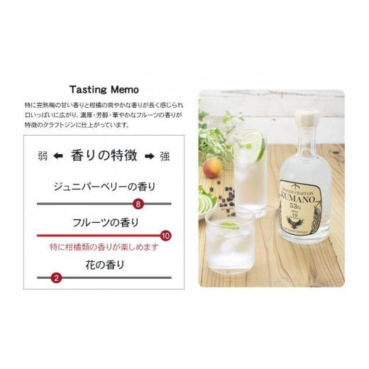 ふるさと納税 洋酒・リキュール類 和歌山県 九度山町 JAPANESE CRAFT GIN 熊野 2本仕かける 手工芸品ジン 紀州熊野蒸留所