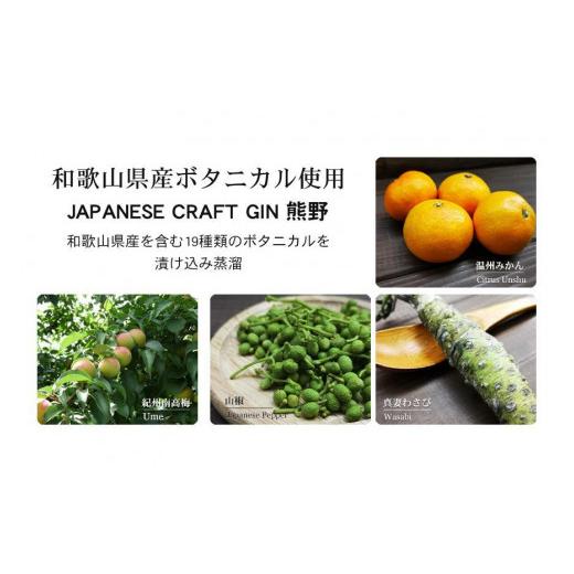 ふるさと納税 洋酒・リキュール類 和歌山県 九度山町 JAPANESE CRAFT GIN 熊野 2本仕かける 手工芸品ジン 紀州熊野蒸留所