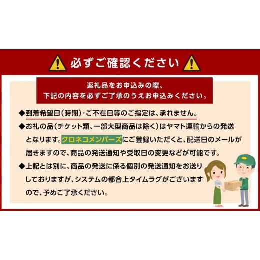 ふるさと納税 洋酒・リキュール類 和歌山県 九度山町 JAPANESE CRAFT GIN 熊野 2本仕かける 手工芸品ジン 紀州熊野蒸留所