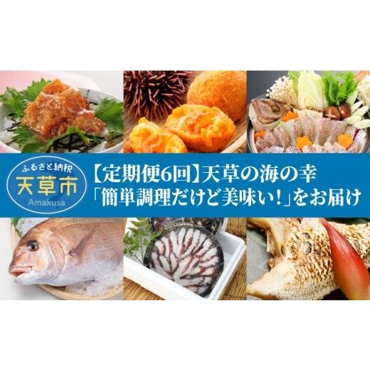 ふるさと納税 タコ 熊本県 天草市 S999-T03_ 定期便6回 天草の海の幸「簡単調理だけど美味い 」をお届けの画像