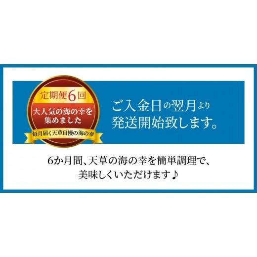 ふるさと納税 タコ 熊本県 天草市 S999-T03_ 定期便6回 天草の海の幸「簡単調理だけど美味い 」をお届けの画像