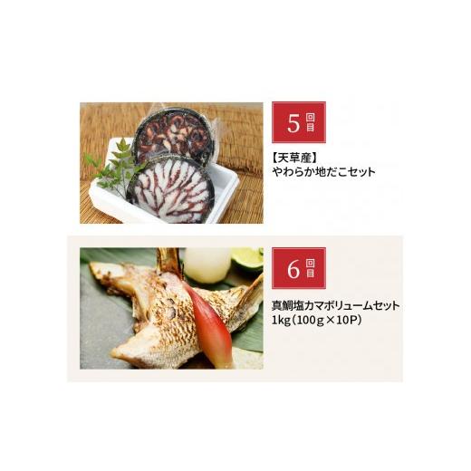 ふるさと納税 タコ 熊本県 天草市 S999-T03_ 定期便6回 天草の海の幸「簡単調理だけど美味い 」をお届けの画像