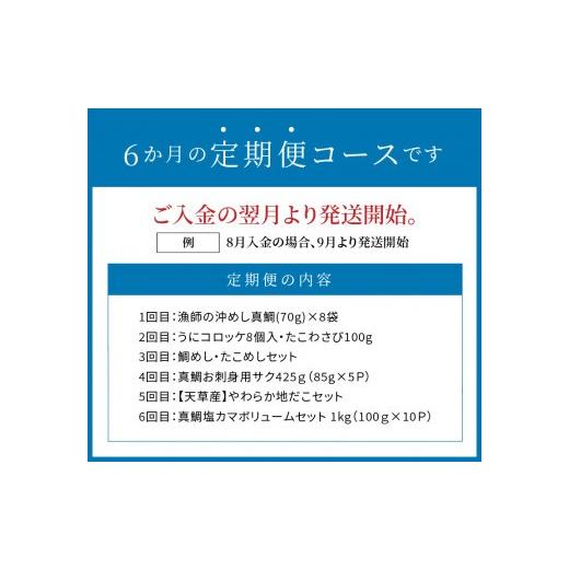 ふるさと納税 タコ 熊本県 天草市 S999-T03_ 定期便6回 天草の海の幸「簡単調理だけど美味い 」をお届けの画像