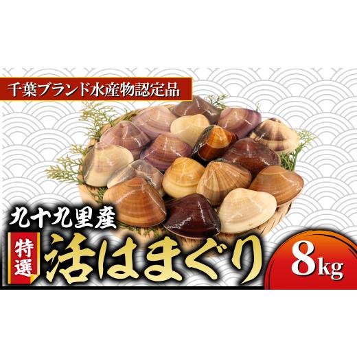 ふるさと納税 しじみ・あさり・蛤 蛤(はまぐり) 千葉県 旭市 九十九里産 活け はまぐり 約 8kg /85〜110個位 千葉ブランド水産物認定品 天然 蛤 ハマグリ …