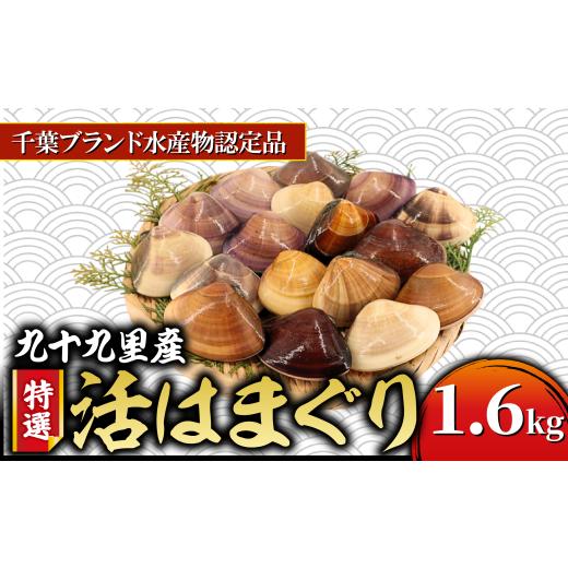 ふるさと納税 しじみ・あさり・蛤 蛤(はまぐり) 千葉県 旭市 九十九里産 活け はまぐり 約1.6kg/18〜25個 千葉ブランド水産物認定品 天然 蛤 ハマグリ 活 …