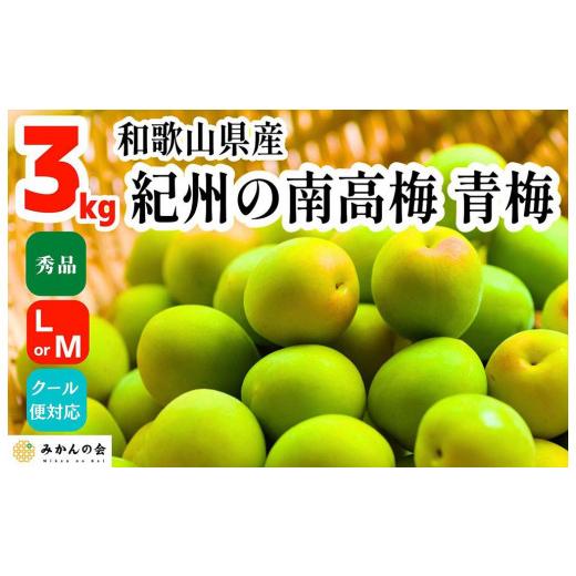 ふるさと納税 野菜類 和歌山県 有田川町 青梅 南高梅 3kg 秀品 LまたはMサイズ 和歌山県産 A品 梅酒作り用 梅ジュース作り用