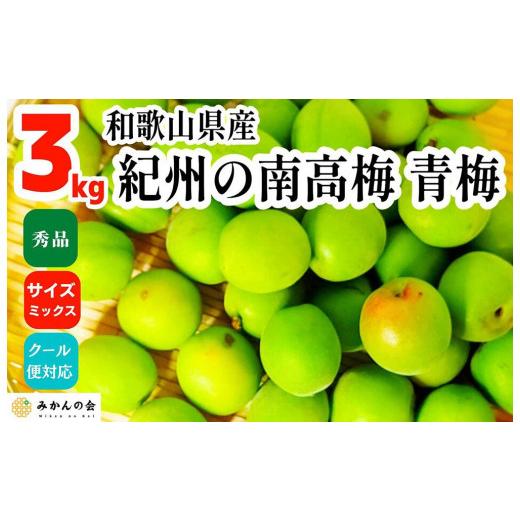 ふるさと納税 野菜類 和歌山県 有田川町 青梅 南高梅 3kg 秀品 サイズミックス 和歌山県産 A品 梅酒作り用 梅ジュース作り用