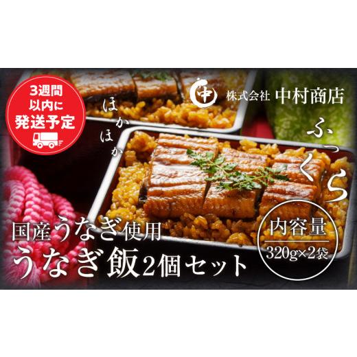 ふるさと納税 うなぎ 宮崎県 宮崎市 うなぎ飯2個セット(320g×2袋) 冬うなぎ_M069-005_02