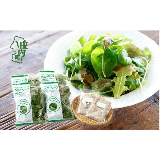 ふるさと納税 セット・詰合せ 山形県 庄内町 庄内産 ベビーリーフミックス 70g×4袋と野菜用ハーブ塩セット 土耕栽培 サラダ スムージー 若葉 野菜 生野菜 新…