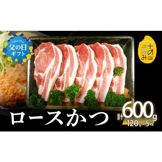 ふるさと納税 豚肉 ロース 大分県 大分市 父の日ギフト 米の恵み ロースかつ 約120g×5枚 6月21日お届け 豚肉 ロース とんかつ 極上 カツ トンカツ 豚カツ か…