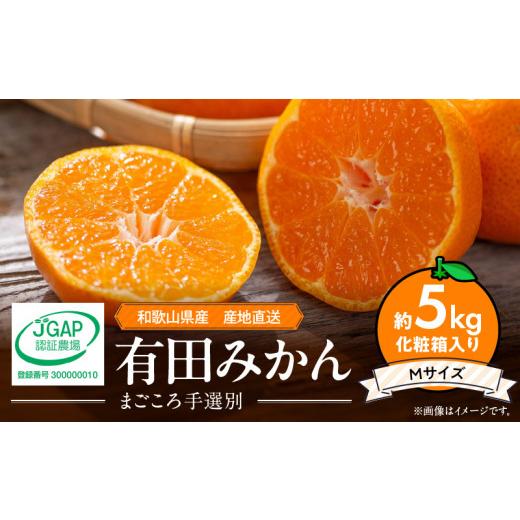 ふるさと納税 果物類 みかん 和歌山県 湯浅町 ZE6322n_和歌山の有田みかん 化粧箱入り 約5kg Mサイズ まごころ手選別