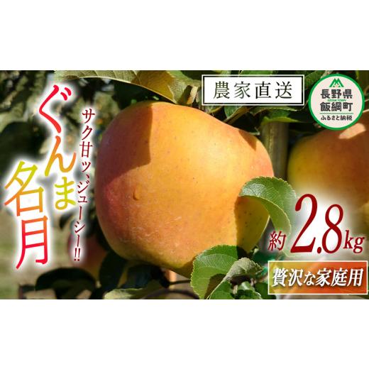 ふるさと納税 長野県 飯綱町 りんご ぐんま名月 贅沢な 家庭用 2.8kg 信州りんご☆小山園☆ 沖縄県への配送不可 2024年11月中旬頃から2024年11月下旬頃まで順…