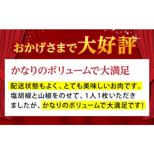 ふるさと納税 牛肉 サーロイン 佐賀県 江北町  全12回定期便 佐賀牛 サーロイン ステーキ 600g ( 300g×2枚 ) 山下牛舎 HAD068 ／ 牛肉 肉 精肉 黒毛和牛 サー…_3
