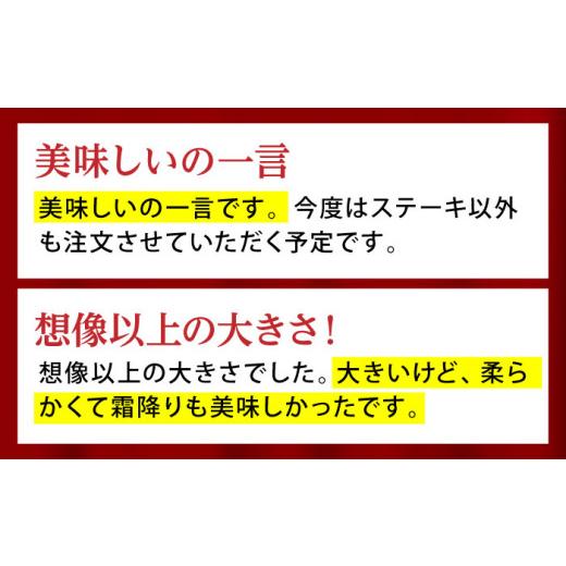 ふるさと納税 牛肉 サーロイン 佐賀県 江北町  全12回定期便 佐賀牛 サーロイン ステーキ 600g ( 300g×2枚 ) 山下牛舎 HAD068 ／ 牛肉 肉 精肉 黒毛和牛 サー…_4