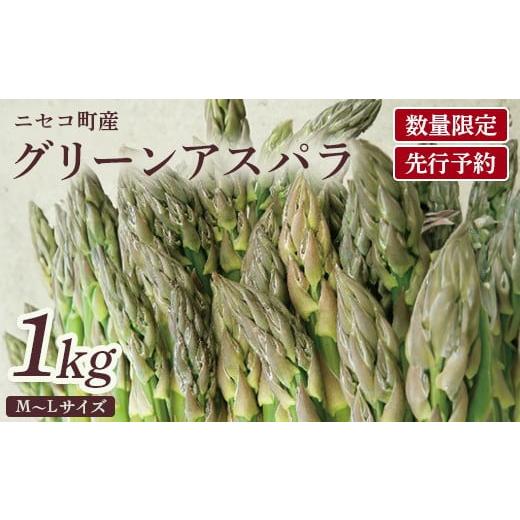 ふるさと納税 野菜類 アスパラガス 北海道 ニセコ町 数量限定 北海道ニセコ町産 グリーンアスパラM/L混みサイズ1kg 2026年予約・5月中旬より出荷予定 020270…