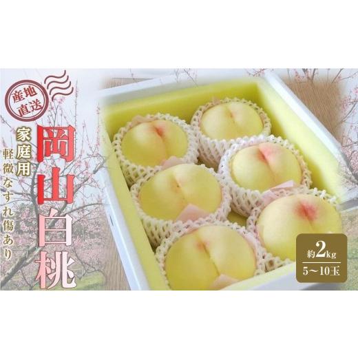 ふるさと納税 もも 岡山県 岡山市 桃 2026年 ご家庭用 岡山 白桃 約2kg(5〜10玉) 白桃 桃 モモ 岡山県 岡山市産 国産 フルーツ 果物 新鮮 おすすめ 人気