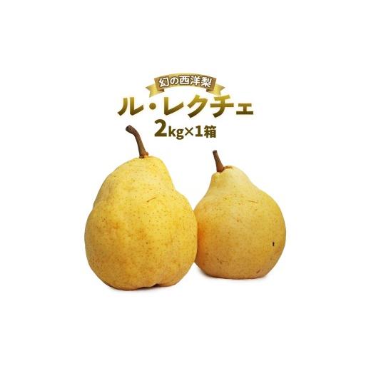 ふるさと納税 梨 新潟県 加茂市 2026年先行予約 新潟特産 幻の洋梨ル・レクチェ 約2kg [12月上旬〜順次出荷] 果物 フルーツギフト 冬の味覚 産地直送 加茂…