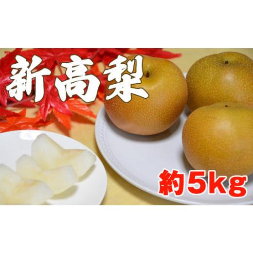 ふるさと納税 新潟県 加茂市 [2024年先行予約]新潟県産和梨 新高 約5kg[10月中旬以降配送予定]にいたか 果物 フルーツギフト 秋の味覚 産地直送 加茂市 西…