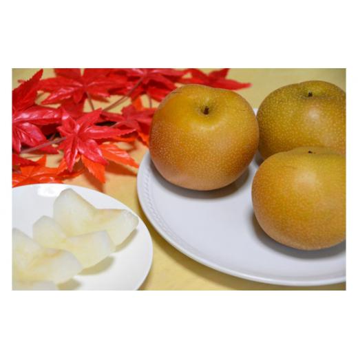 ふるさと納税 梨 新潟県 加茂市 2026年先行予約 新潟県産和梨 新興 約5kg[11月上旬〜順次出荷]しんこう 果物 フルーツギフト 秋の味覚 産地直送 加茂市 西…