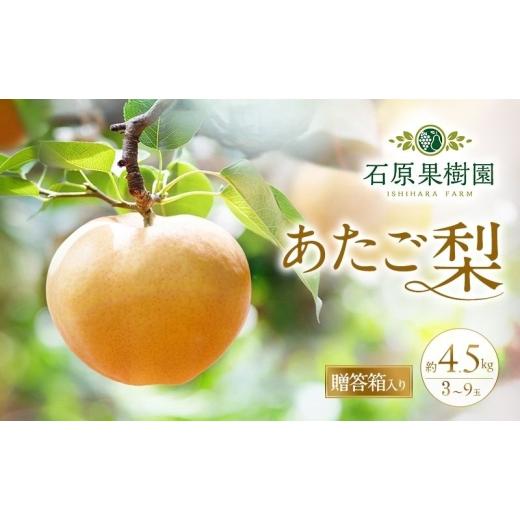 ふるさと納税 梨 岡山県 瀬戸内市 梨 2026年 先行予約 あたご梨 3〜9玉 合計約4.5kg 贈答箱 11月下旬〜12月中旬頃発送 ナシ なし 岡山県産 国産 フルーツ 果物…の画像