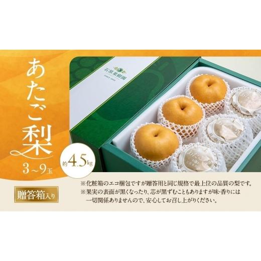 ふるさと納税 梨 岡山県 瀬戸内市 梨 2026年 先行予約 あたご梨 3〜9玉 合計約4.5kg 贈答箱 11月下旬〜12月中旬頃発送 ナシ なし 岡山県産 国産 フルーツ 果物…の画像