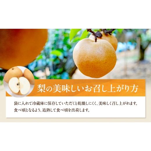 ふるさと納税 梨 岡山県 瀬戸内市 梨 2026年 先行予約 あたご梨 3〜9玉 合計約4.5kg 贈答箱 11月下旬〜12月中旬頃発送 ナシ なし 岡山県産 国産 フルーツ 果物…の画像