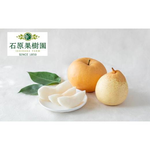 ふるさと納税 梨 岡山県 瀬戸内市 石原果樹園 あたご梨・鴨梨(ヤ—リー)詰合せ 合計約4kg オリジナル化粧箱  