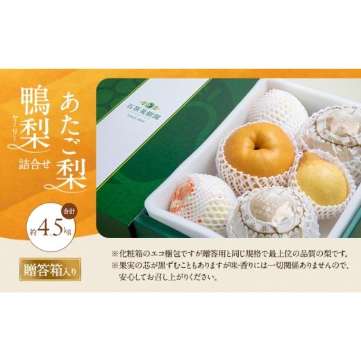 ふるさと納税 梨 岡山県 瀬戸内市 梨 2026年 先行予約 あたご梨・鴨梨（ヤーリー）詰合せ 合計約4.5kg あたご2〜3玉 鴨梨3〜7玉 贈答箱 11月下旬〜12月中旬頃…の画像
