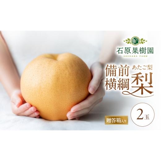 ふるさと納税 梨 岡山県 瀬戸内市 梨 2026年 備前横綱梨（あたご梨） 2玉 (1玉1〜1.4kg）贈答箱 11月下旬〜12月中旬頃発送 ナシ なし 岡山県産 国産 フルーツ …の画像