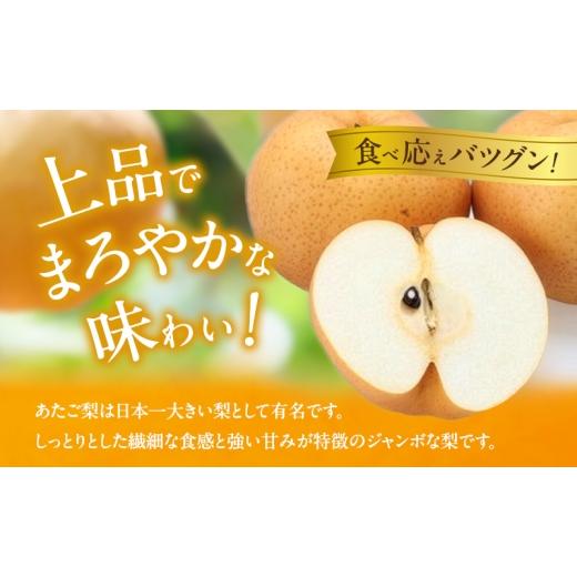 ふるさと納税 梨 岡山県 瀬戸内市 梨 2026年 備前横綱梨（あたご梨） 2玉 (1玉1〜1.4kg）贈答箱 11月下旬〜12月中旬頃発送 ナシ なし 岡山県産 国産 フルーツ …の画像