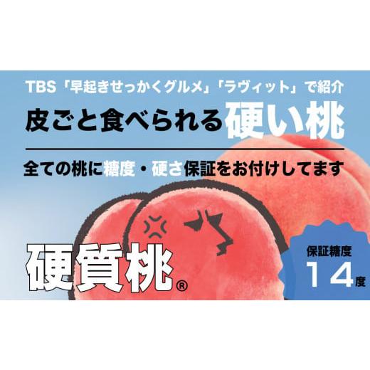 ふるさと納税 山梨県 笛吹市 [全玉糖度14度保証付]硬質桃3玉 1kg以上『皮ごと食べられる硬い桃』[数量限定]旬の美味しいフルーツだけをお届けします[ ル…