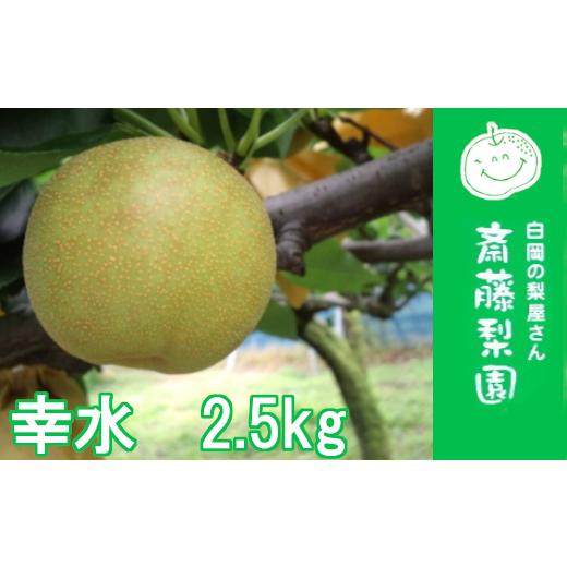 ふるさと納税 梨 埼玉県 白岡市 2026年発送分 先行予約 白岡・下野田 斎藤さんちの美味しい梨 幸水 約2.5kg