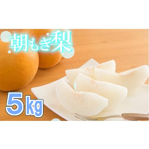 ふるさと納税 梨 埼玉県 白岡市 100年の歴史 　アライファームの「朝もぎ梨」幸水・豊水・あきづき 約5kg　 11246-0353_1