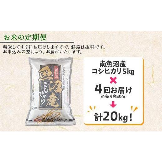 ふるさと納税 米 コシヒカリ 新潟県 南魚沼市  令和7年産 定期便 新潟県 南魚沼産 コシヒカリ お米 5kg ×計4回 精米済み 毎月発送（お米の美味しい炊き方ガイ…の画像
