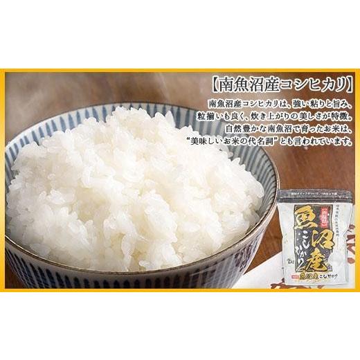 ふるさと納税 米 コシヒカリ 新潟県 南魚沼市  令和7年産 定期便 新潟県 南魚沼産 コシヒカリ お米 5kg ×計4回 精米済み 毎月発送（お米の美味しい炊き方ガイ…の画像