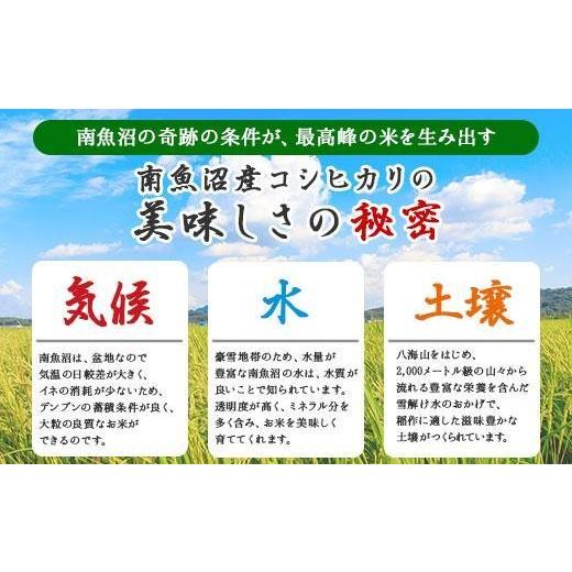 ふるさと納税 米 コシヒカリ 新潟県 南魚沼市  令和7年産 定期便 新潟県 南魚沼産 コシヒカリ お米 5kg ×計4回 精米済み 毎月発送（お米の美味しい炊き方ガイ…の画像