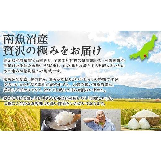 ふるさと納税 米 コシヒカリ 新潟県 南魚沼市  令和7年産 定期便 新潟県 南魚沼産 コシヒカリ お米 5kg ×計4回 精米済み 毎月発送（お米の美味しい炊き方ガイ…の画像
