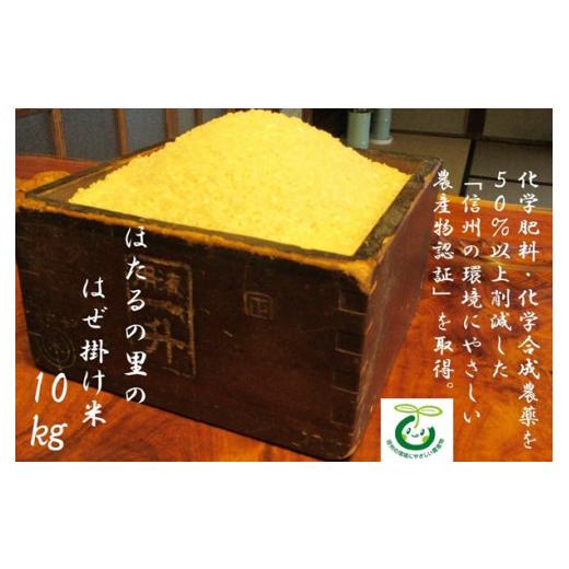 ふるさと納税 米 コシヒカリ 長野県 辰野町 218 ほたるの里のはぜ掛け米 10kg 合鴨農法 /ほたるの里農園/ 数量限定 低農薬 令和8年度 農家直送 白米 令和8…