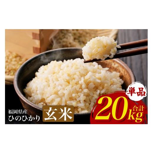 ふるさと納税 玄米 福岡県 うきは市 ふるさと納税 ひのひかり 米 お米 玄米 20kg 20キロ 福岡県産 うきは市 国産 精米 ご飯 ごはん おにぎり お弁当 人気 お…