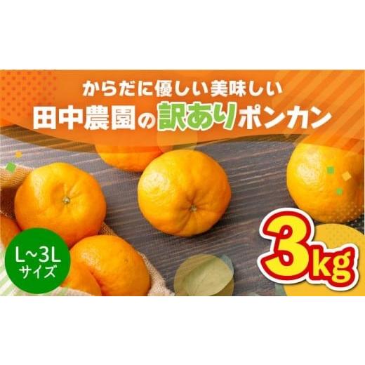 ふるさと納税 みかん・柑橘類 高知県 東洋町 訳ありポンカン 3kg(L~3Lサイズ) 国産 東洋町産 訳あり 甘酸っぱい ジューシー 蜜柑 ミカン 高知県 東洋町 四国…