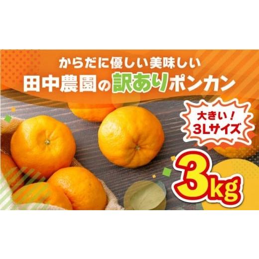 ふるさと納税 みかん・柑橘類 高知県 東洋町 訳ありポンカン 3kg(3Lサイズ) 国産 東洋町産 訳あり 甘酸っぱい ジューシー 蜜柑 ミカン 有機肥料 高知県 東洋…