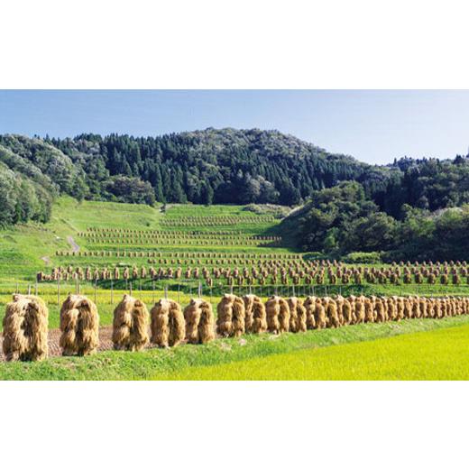 ふるさと納税 山形県 山辺町 六右衛門庵 ペアランチ券 F20A-936 