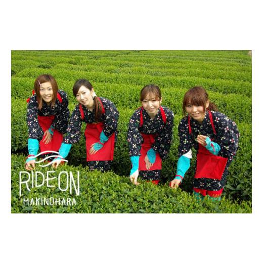 ふるさと納税 静岡県 牧之原市 128-4　お茶摘み体験・民宿又はペンション宿泊セット券（お1人様） 